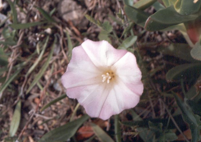 ../Images/204.Road No 1.jpg